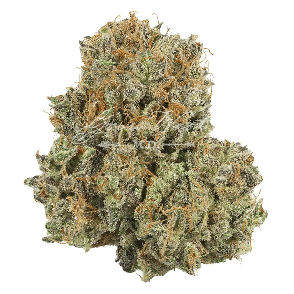 Chocolate Kush | Premium | Hand-Trimmed | 3.5g