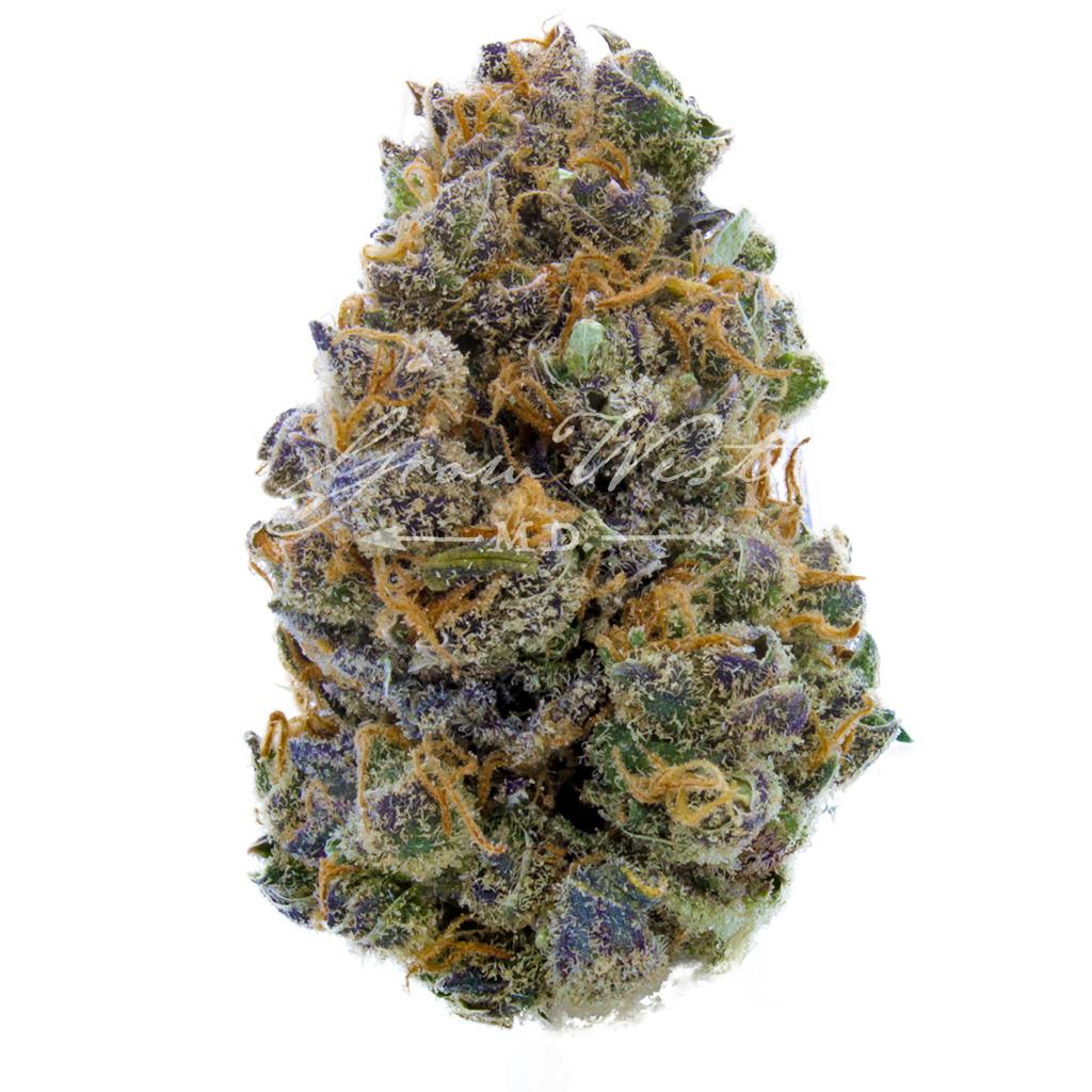 Florence Nightingale | Gold | Trimmed | 3.5g