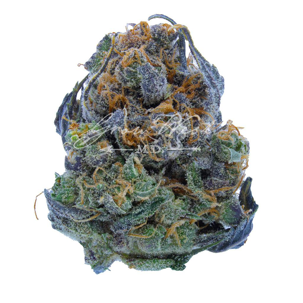 Florence Nightingale | Silver | Untrimmed | 3.5g