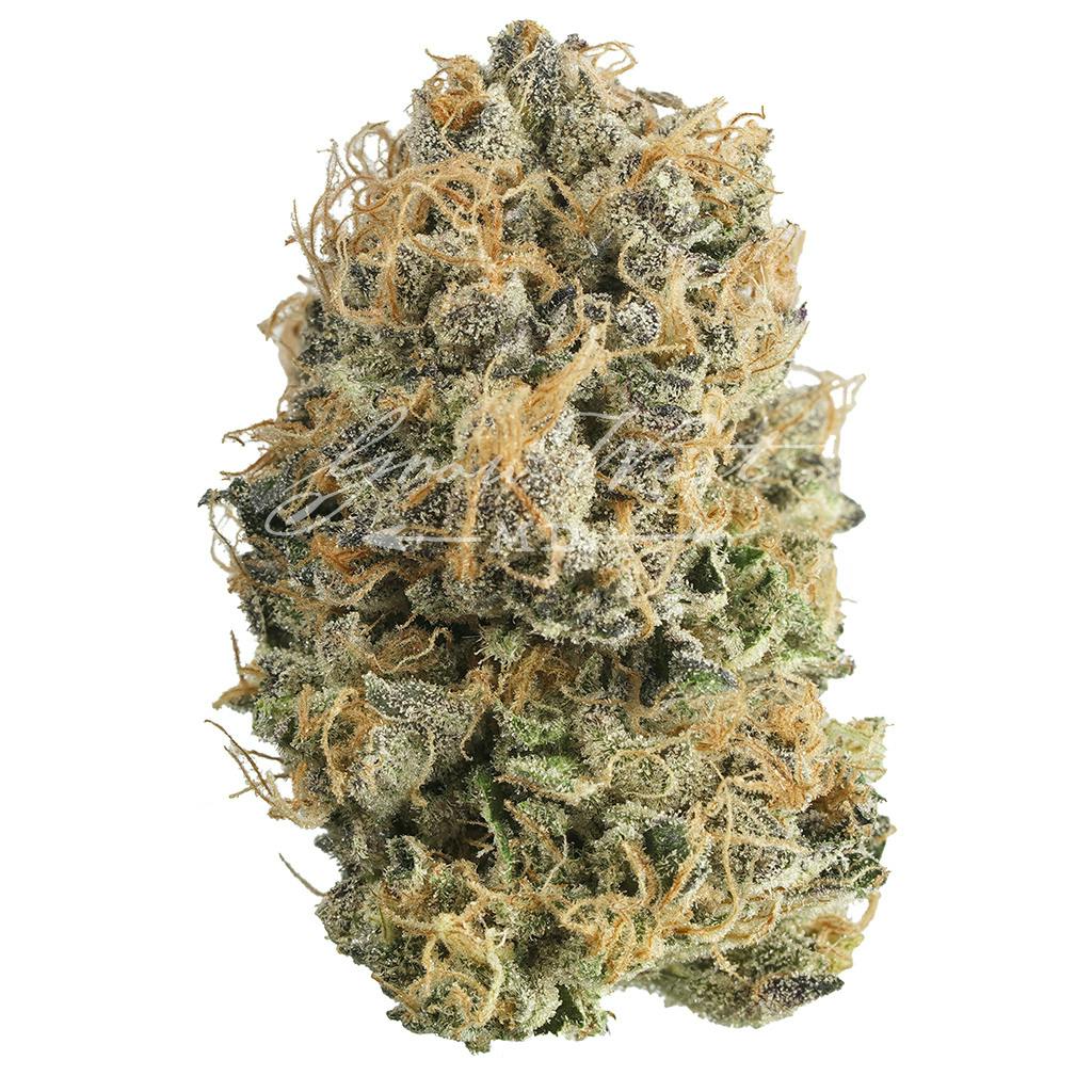 Hindu Mints | Premium | Hand-Trimmed | 3.5g