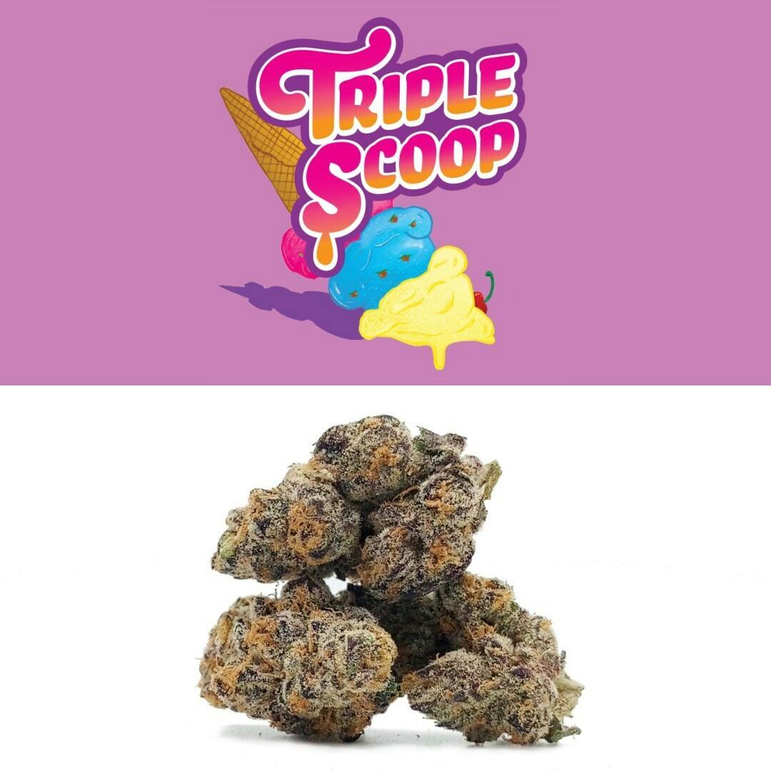 Triple Scoop