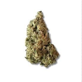 Exclusive - Sherbert (I/H) - 28g