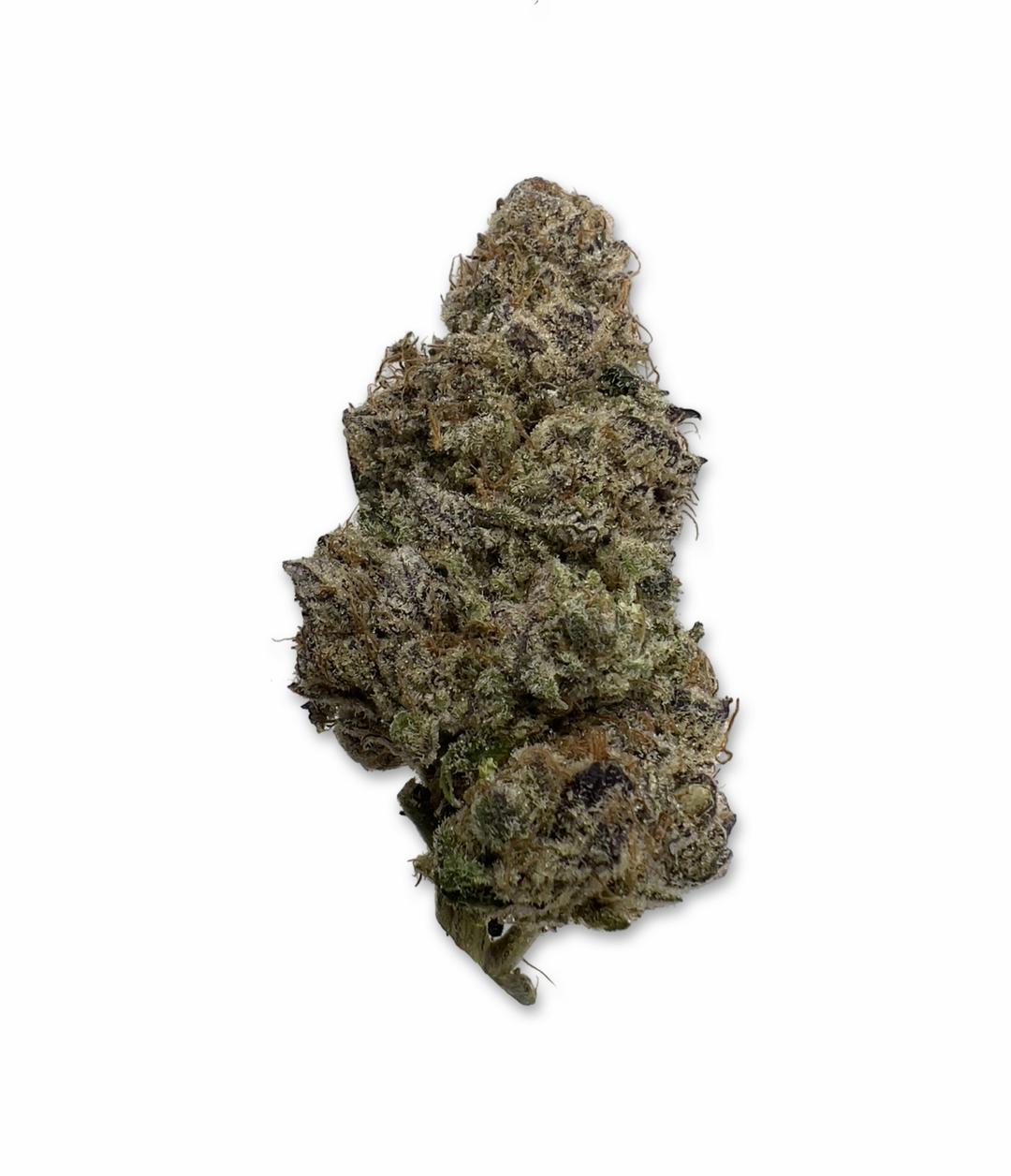 Bahama Berry #2 - Brave Boat Gardens