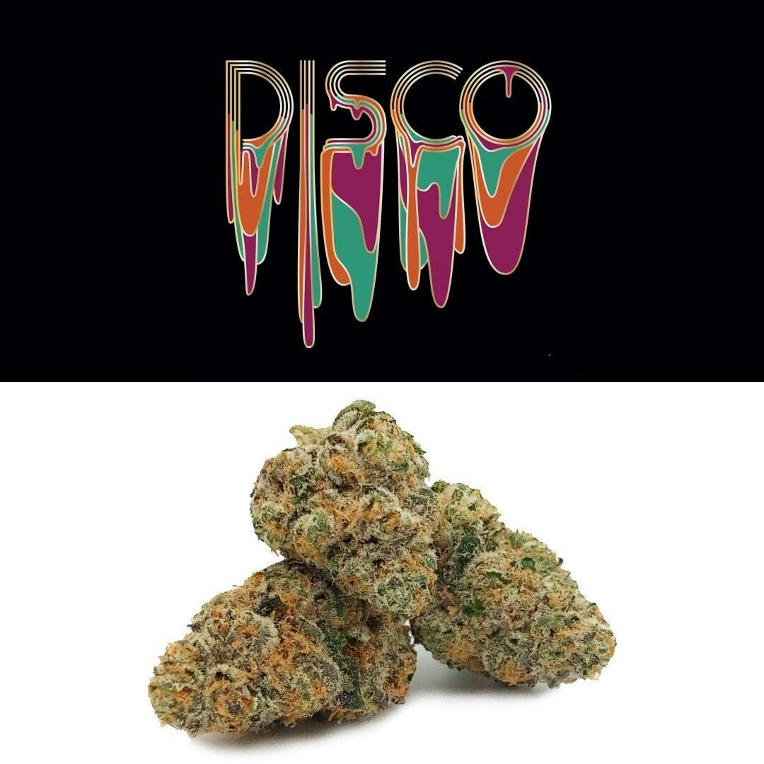 Disco