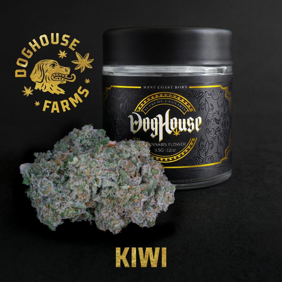 Kiwi - 3.5g Glass Jar - Sativa