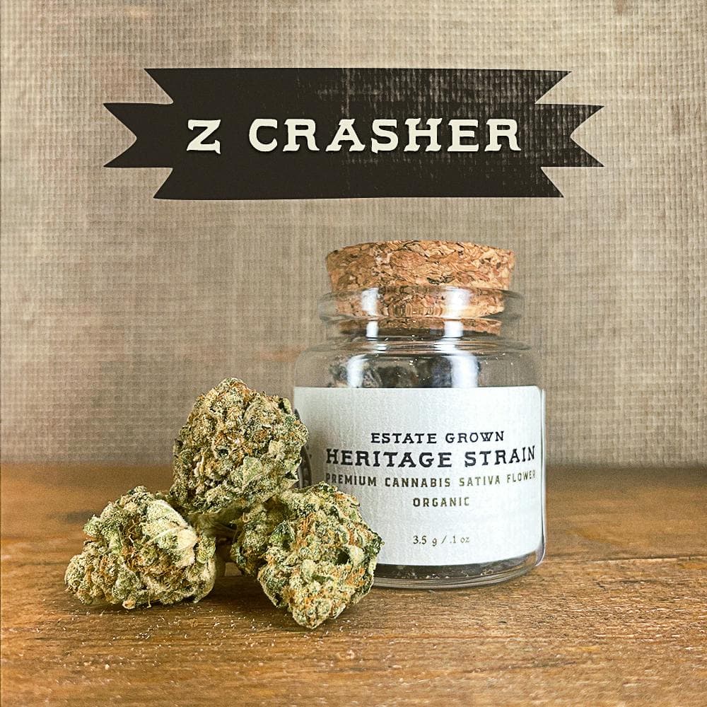 Z Crasher Hybrid - Heritage Flower