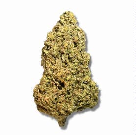 Black - Chem Cookies (H) - 14g