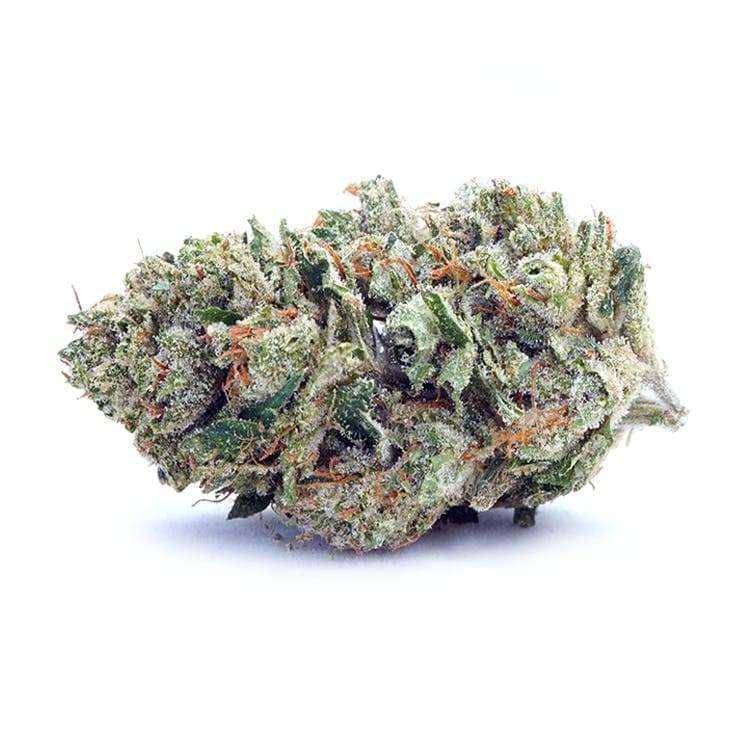 Lemon Head OG | Greenhouse 3.5g