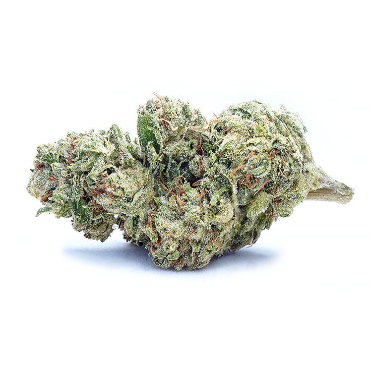 Rolls Choice | Greenhouse 3.5g