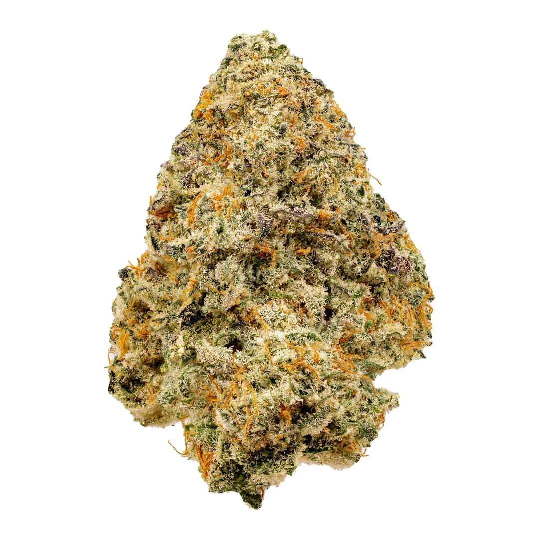 White Truffle