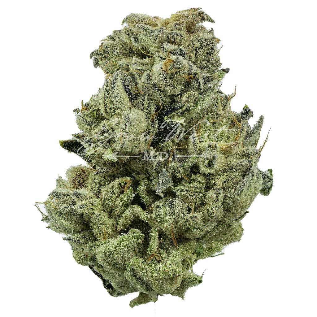 Purple Koala | Gold | Trimmed | 3.5g