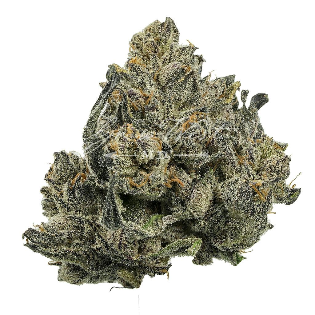 Majestik 12 | Silver | Untrimmed | 3.5g