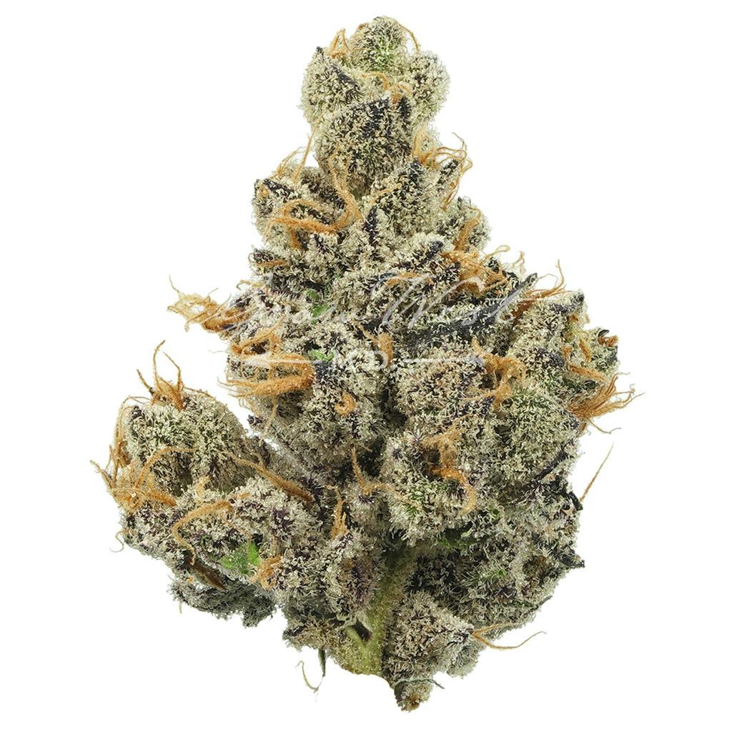 Sour Apple Crumble | Premium | Hand-Trimmed | 3.5g