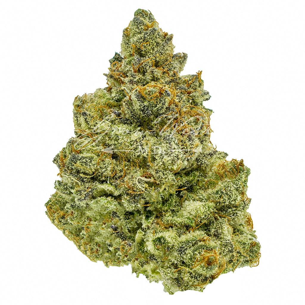 Sunset Cookies | Gold | Trimmed | 3.5g