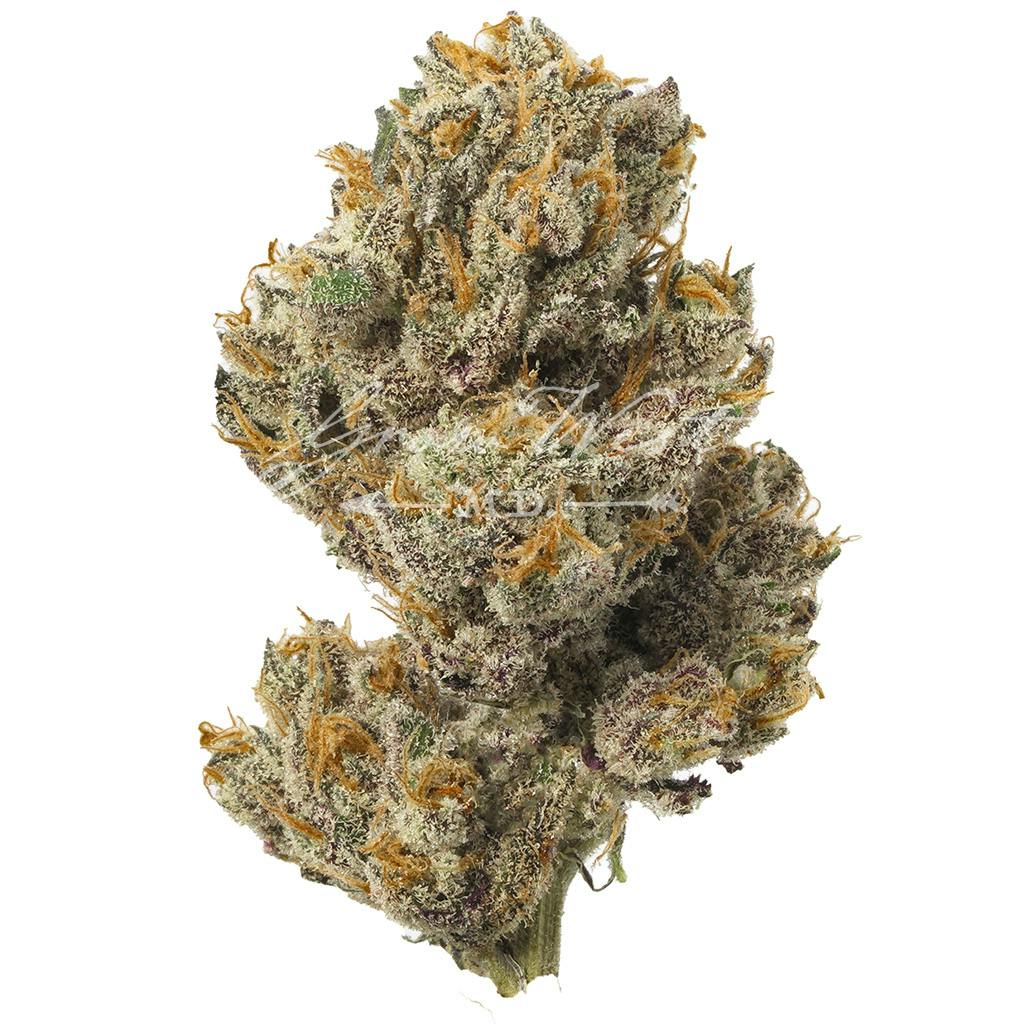 Orange Runtz | Gold | Trimmed | 3.5g