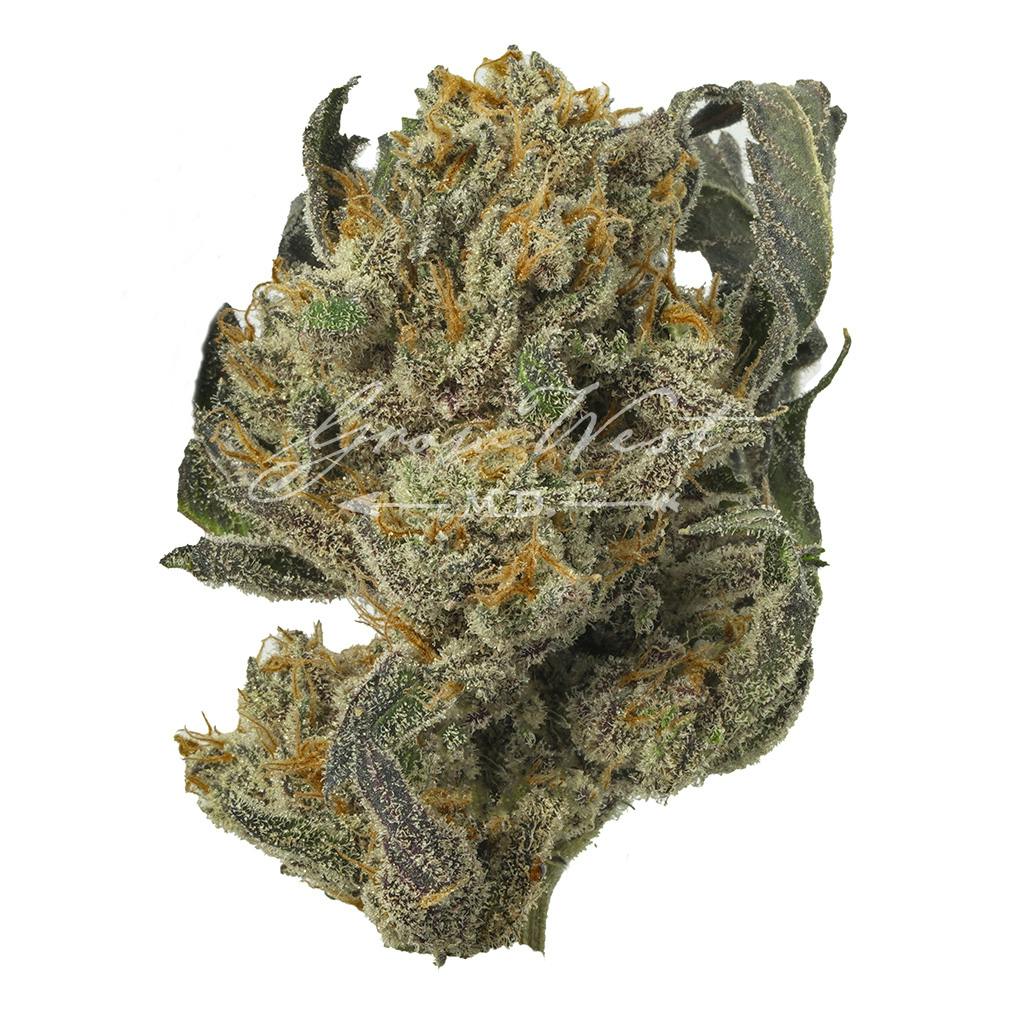 Orange Runtz | Silver | Untrimmed | 3.5g