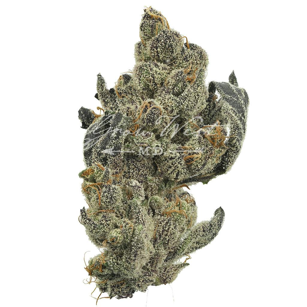 Silver Cloudz | Silver | Untrimmed | 3.5g