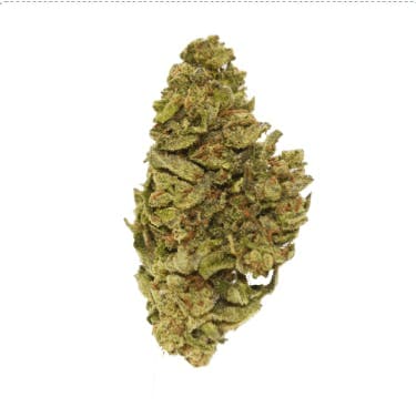 Exclusive - Jelly Rancher (H) - 28g