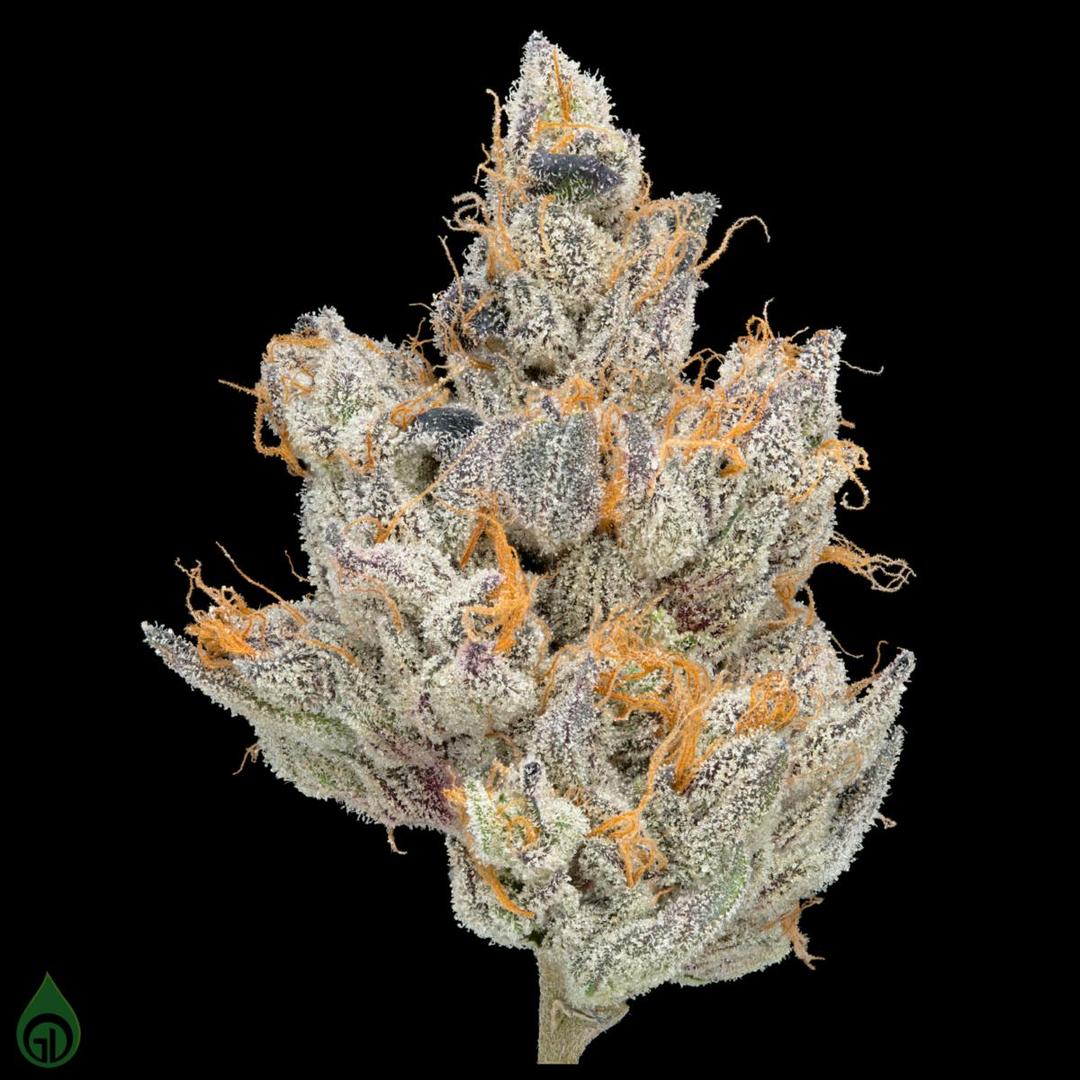 GDL Black Label Flower (14g) | Thunderdome