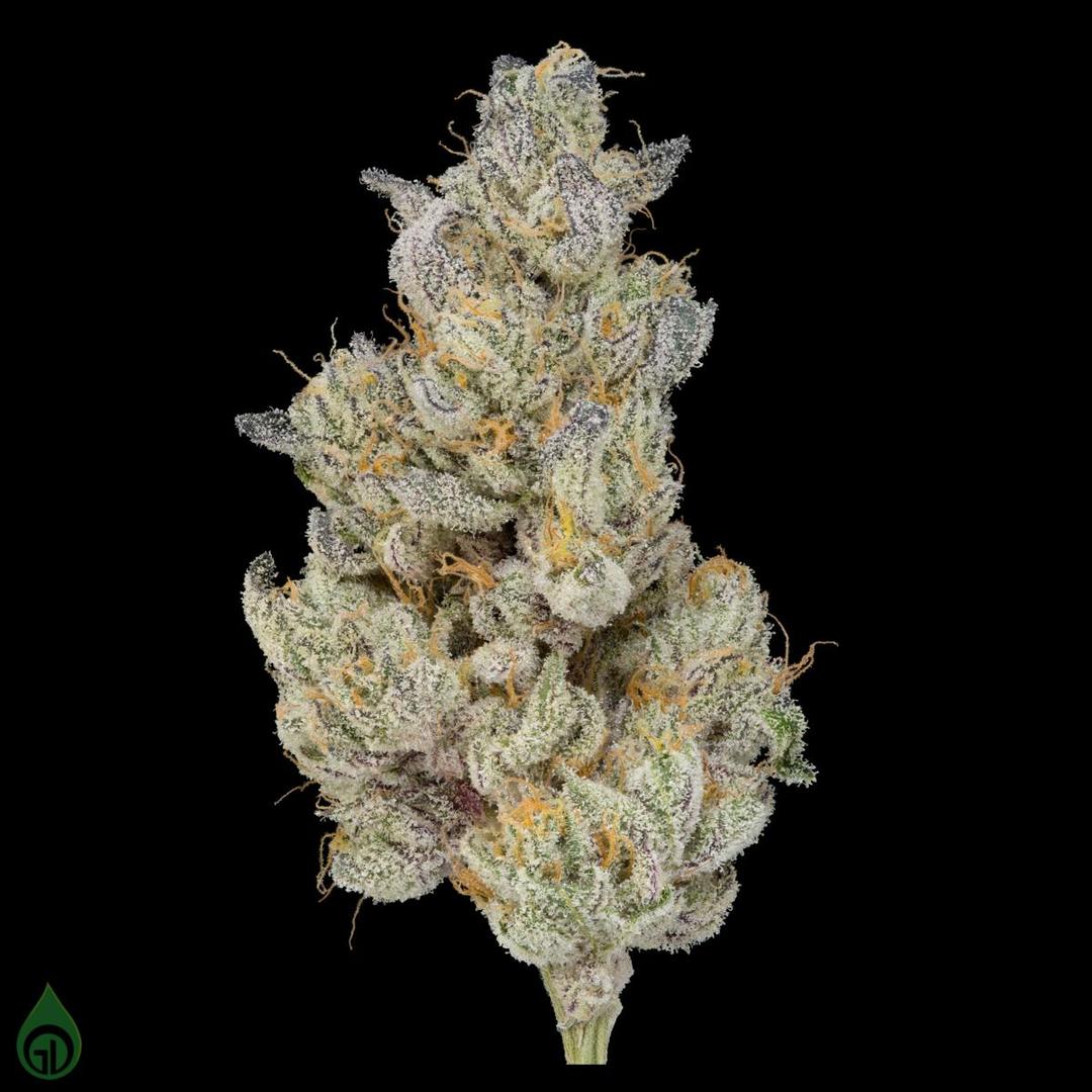 GDL Black Label Flower (3.5g) | A5 Wagyu