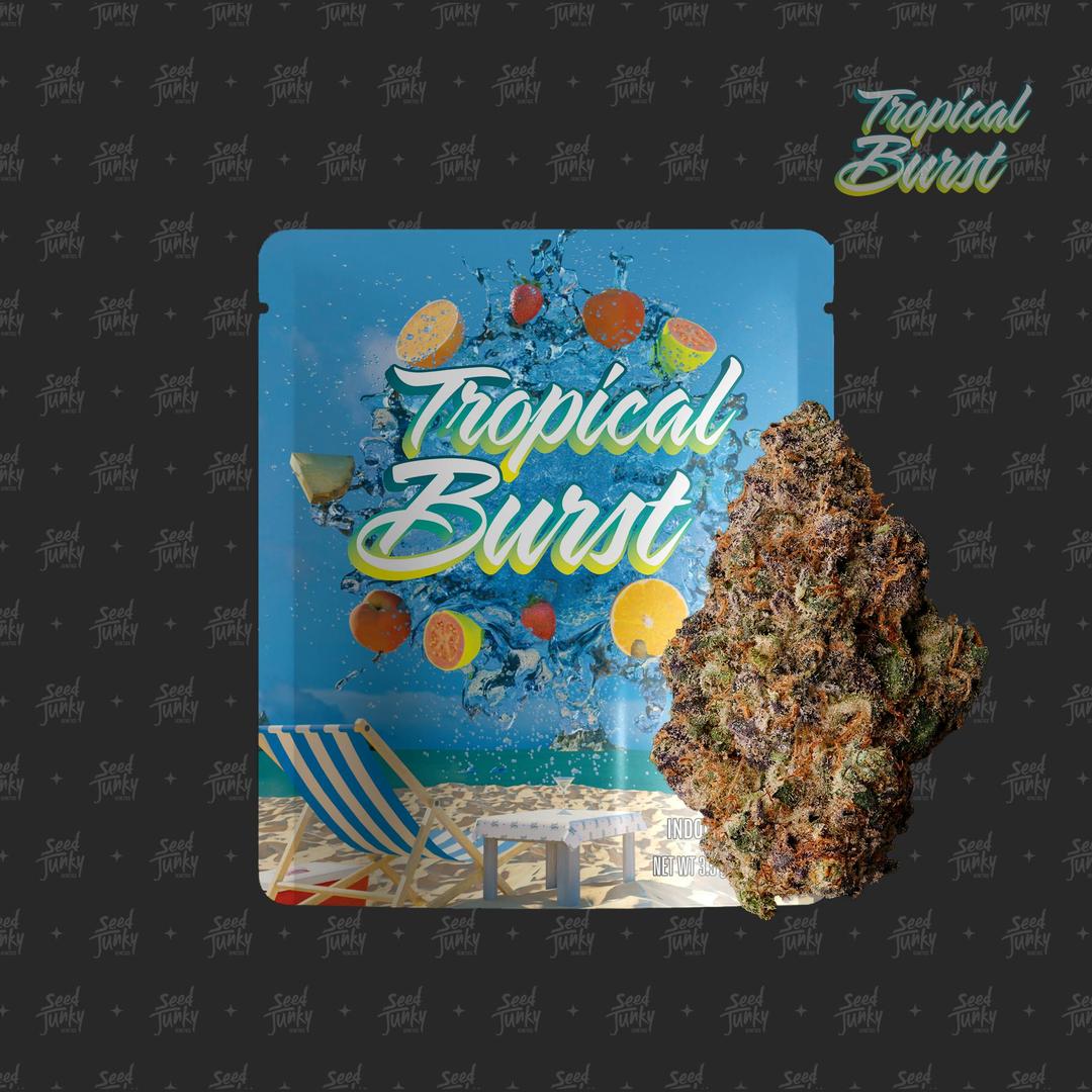 TROPICAL BURST- 3.5g
