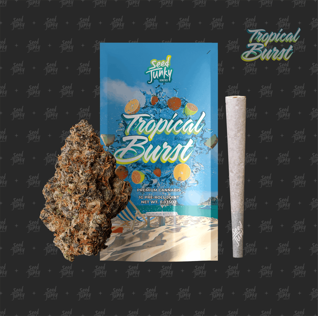 TROPICAL BURST (1G Pre-Roll)