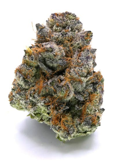 Gelato Punch 14g