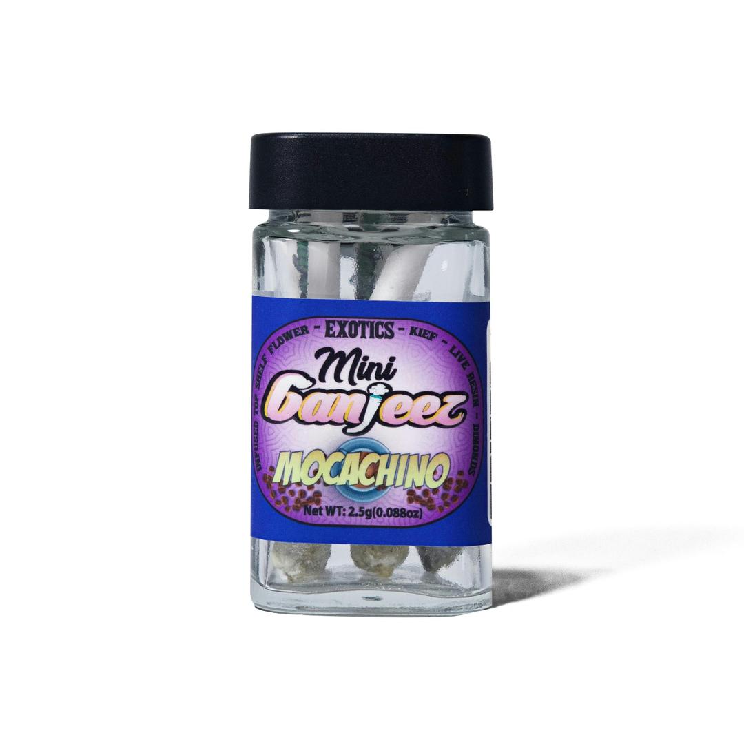 Infused PR- Mocachino