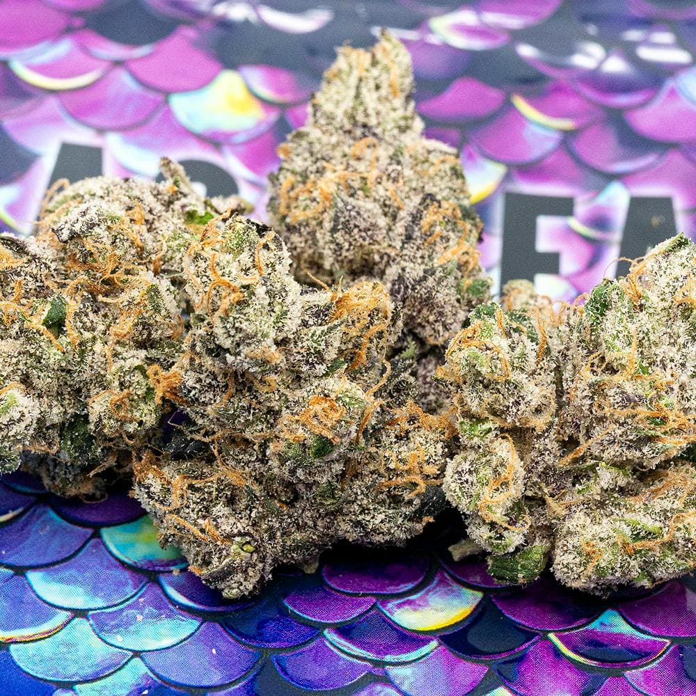 Black Cherry