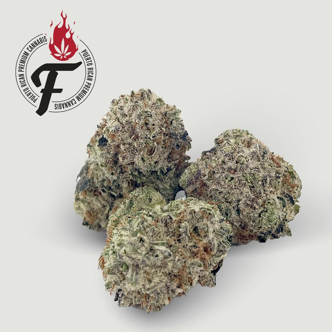 Dirty Snow - Fuego