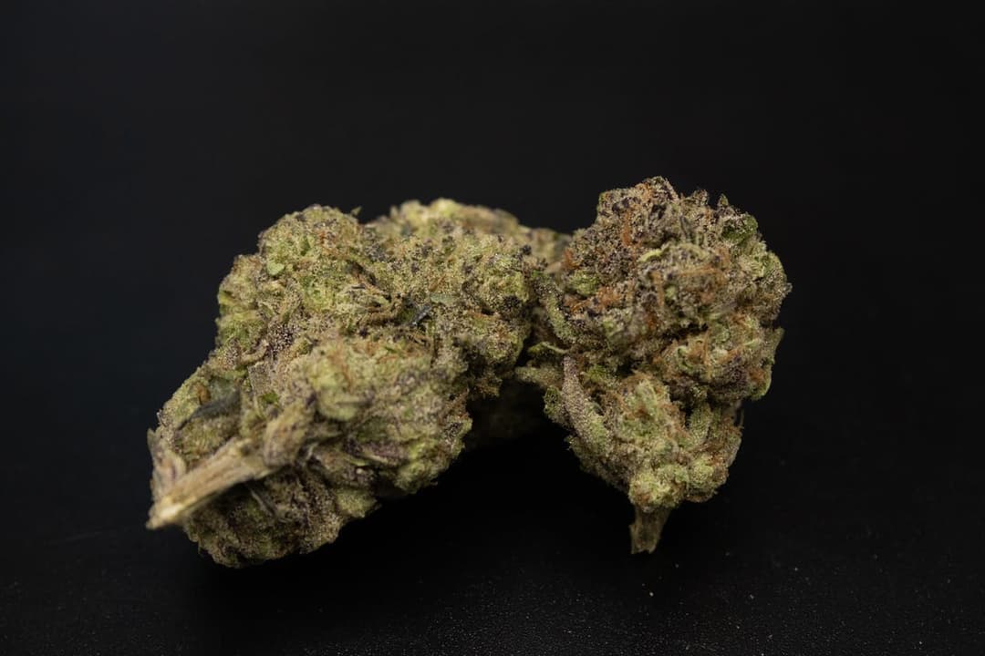 Gush Mints 8th/3.5Grams(30%THC,HYBRID)