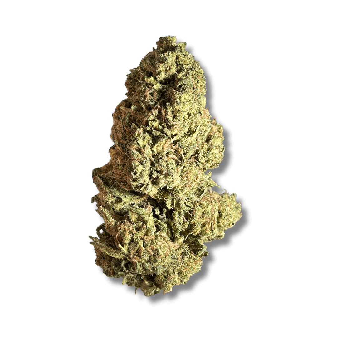 Exotix - Blue Rhino (H) - 14g