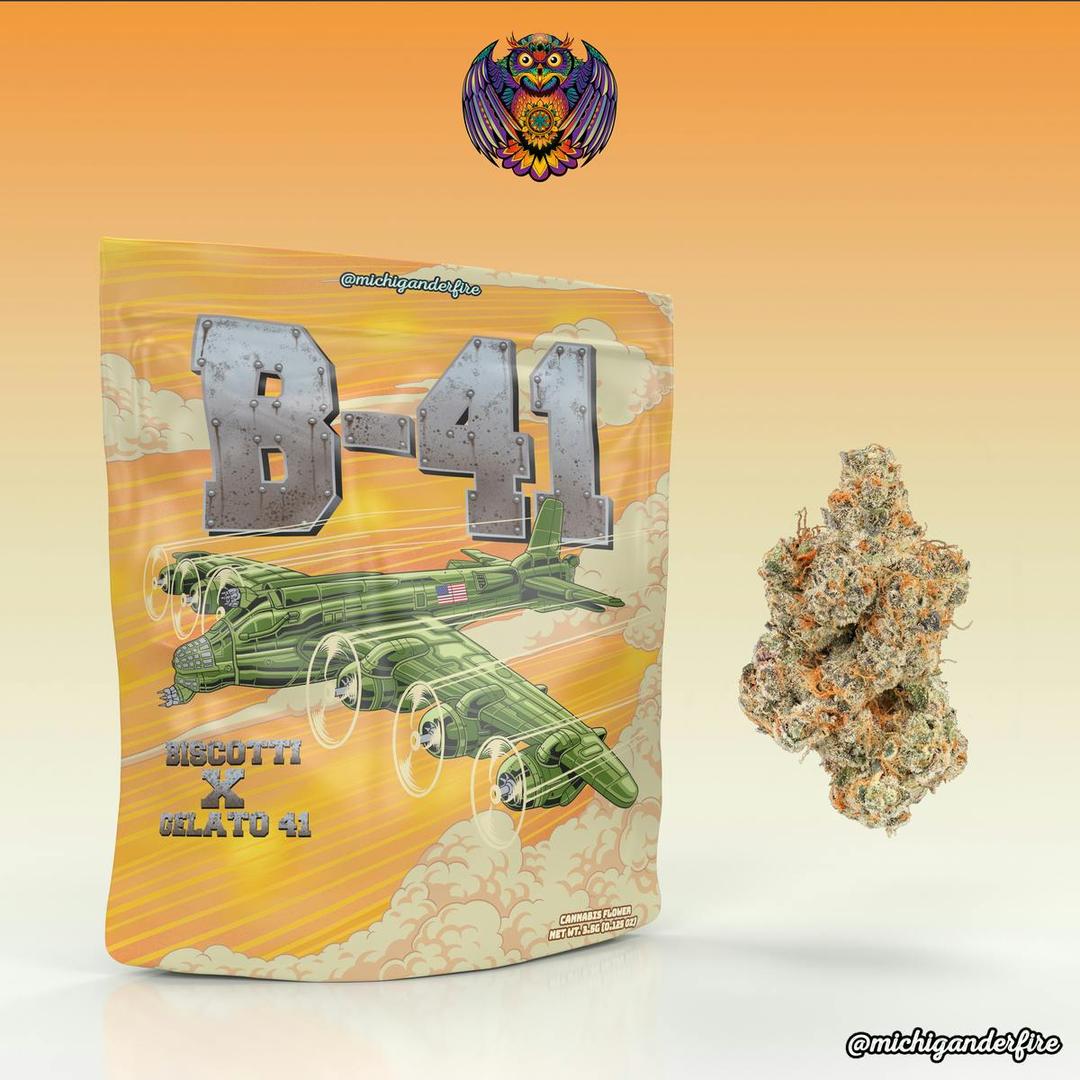 Michigander Fire - B41
