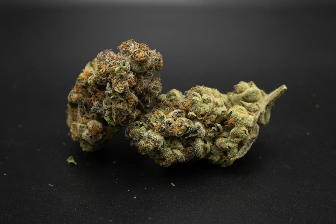 GovernMint Oasis Ounce/28.3Grams(33%THC,HYBRID)