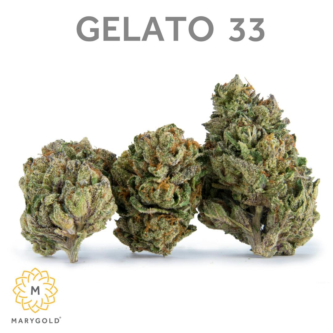 Gelato 33 3.5g (Indica 31% THC)