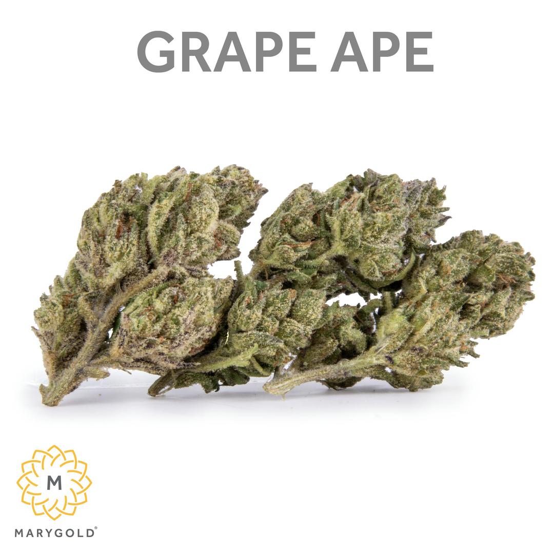 Grape Ape 14g (Indica 29% THC)