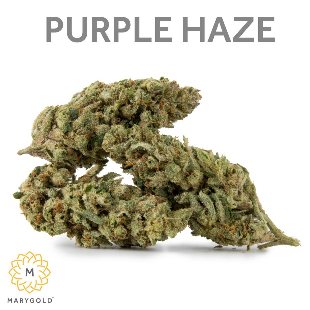 Purple Haze 3.5g (Sativa 29% THC)
