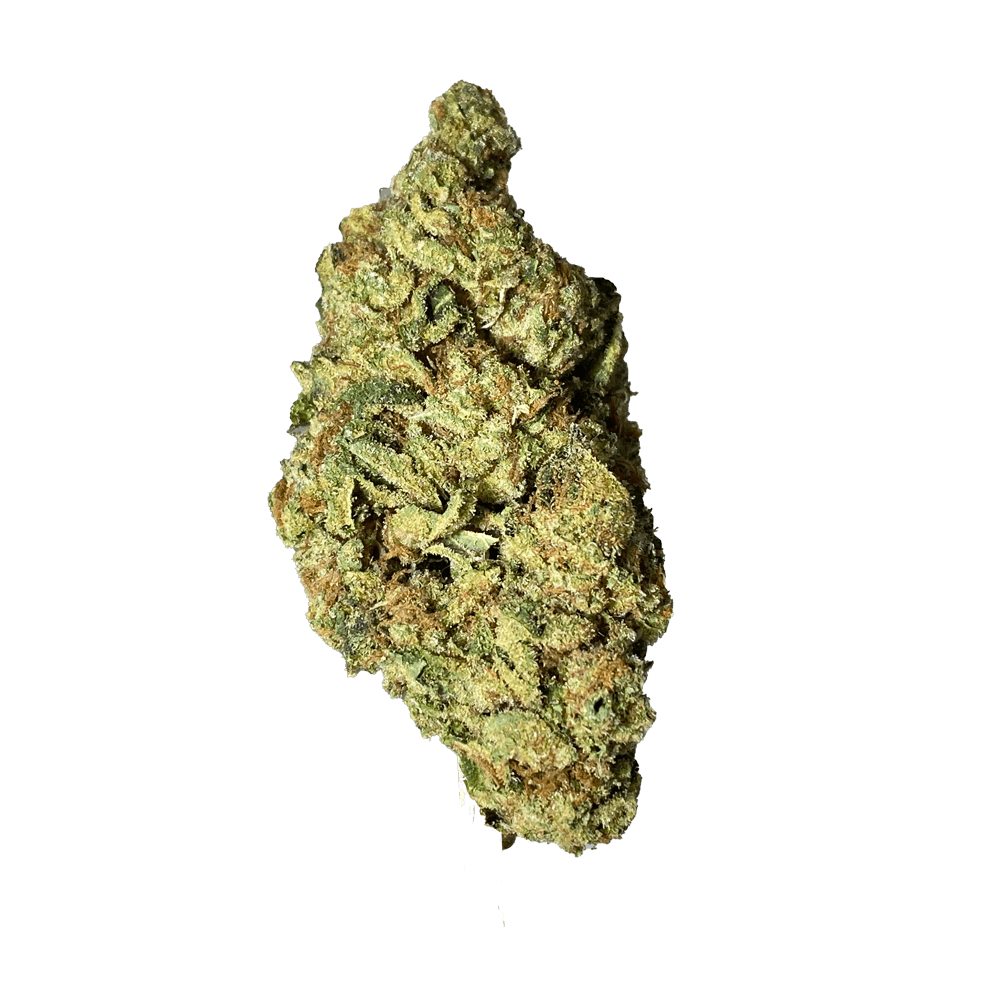 Black - Pineapple Jack (S) - 14g