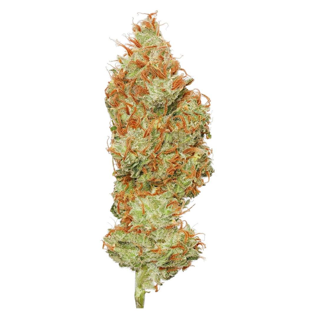 Super Lemon Haze