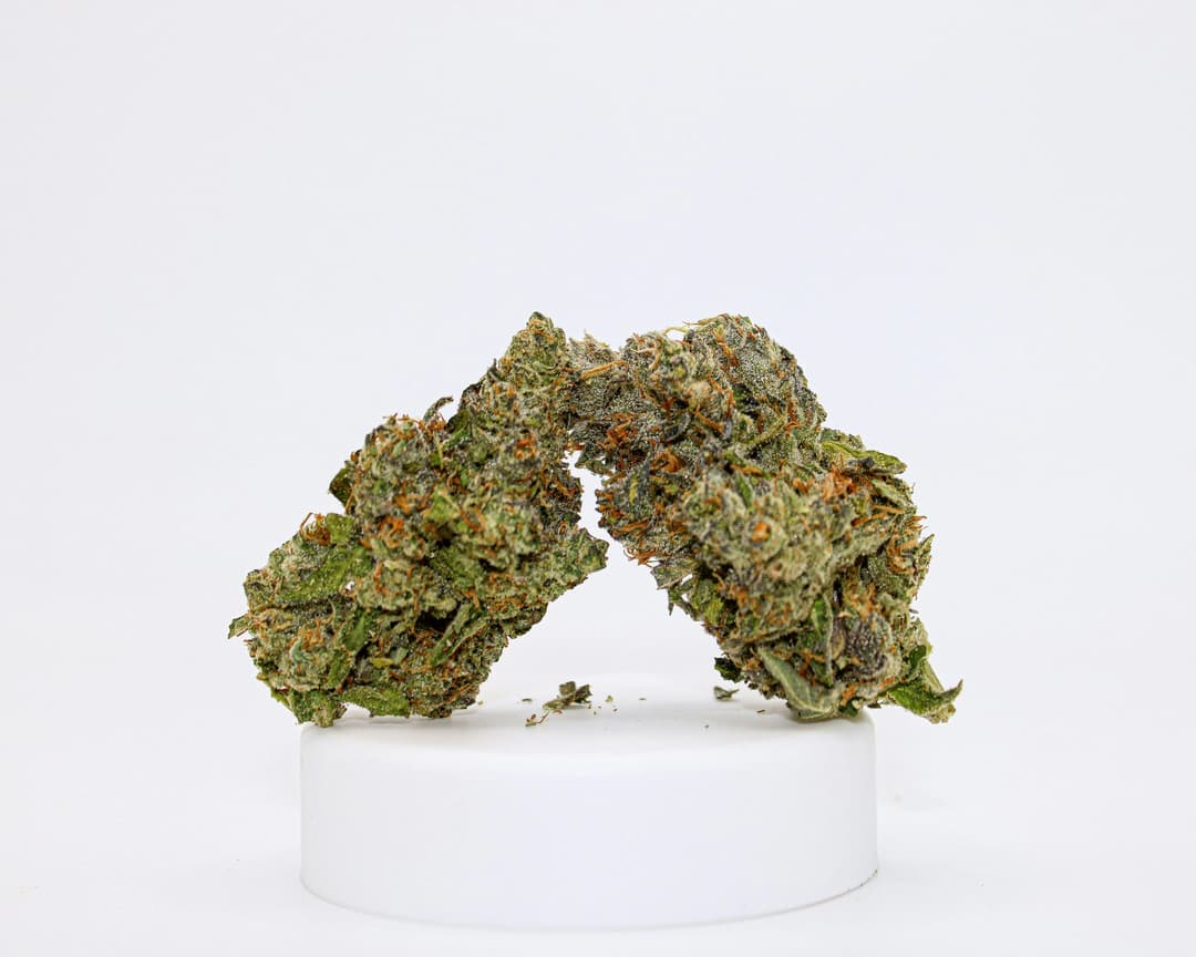 River Remedy: Gelato Cherry Limeade 3.5g