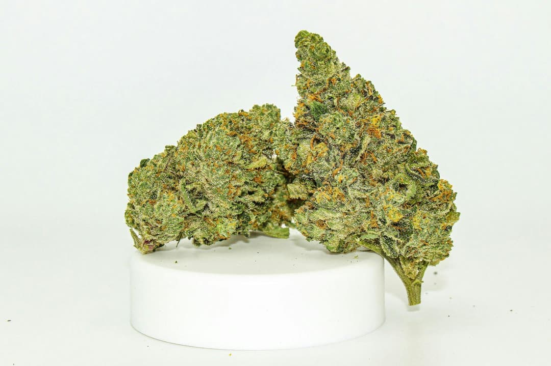 River Remedy: Watermelon Gelato 3.5g