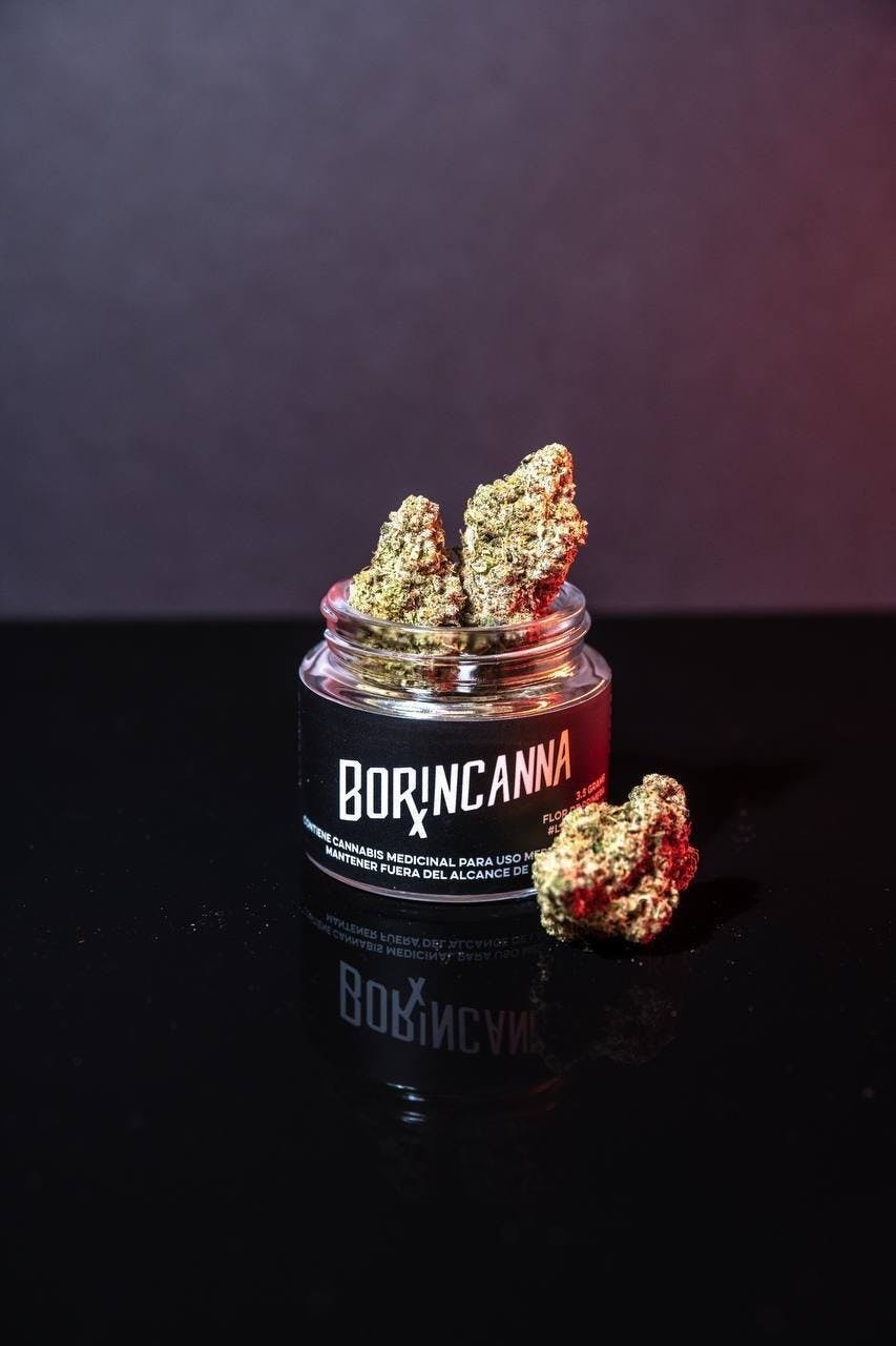 Kush Mints
