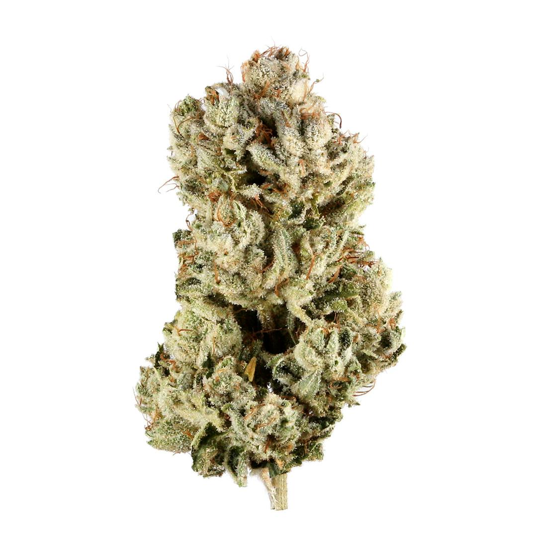 Crazy Glue (MID-SHELF)