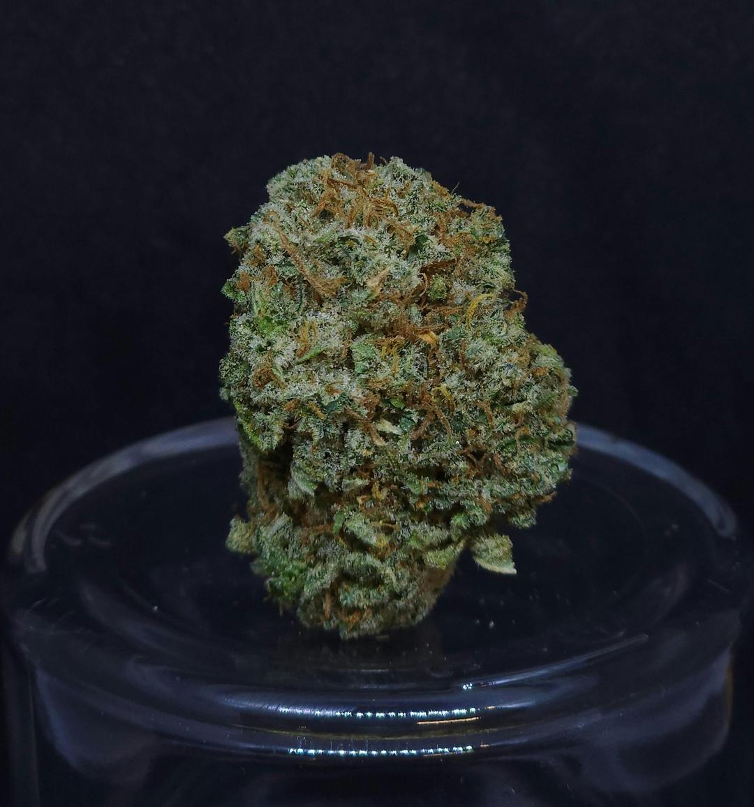 Z Sweet Insanity #5 .5g - 2 Pack