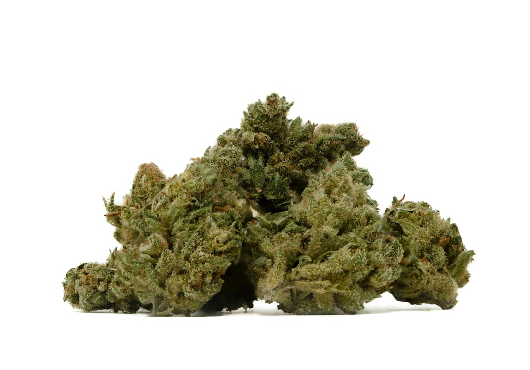 Jack Herer 1oz