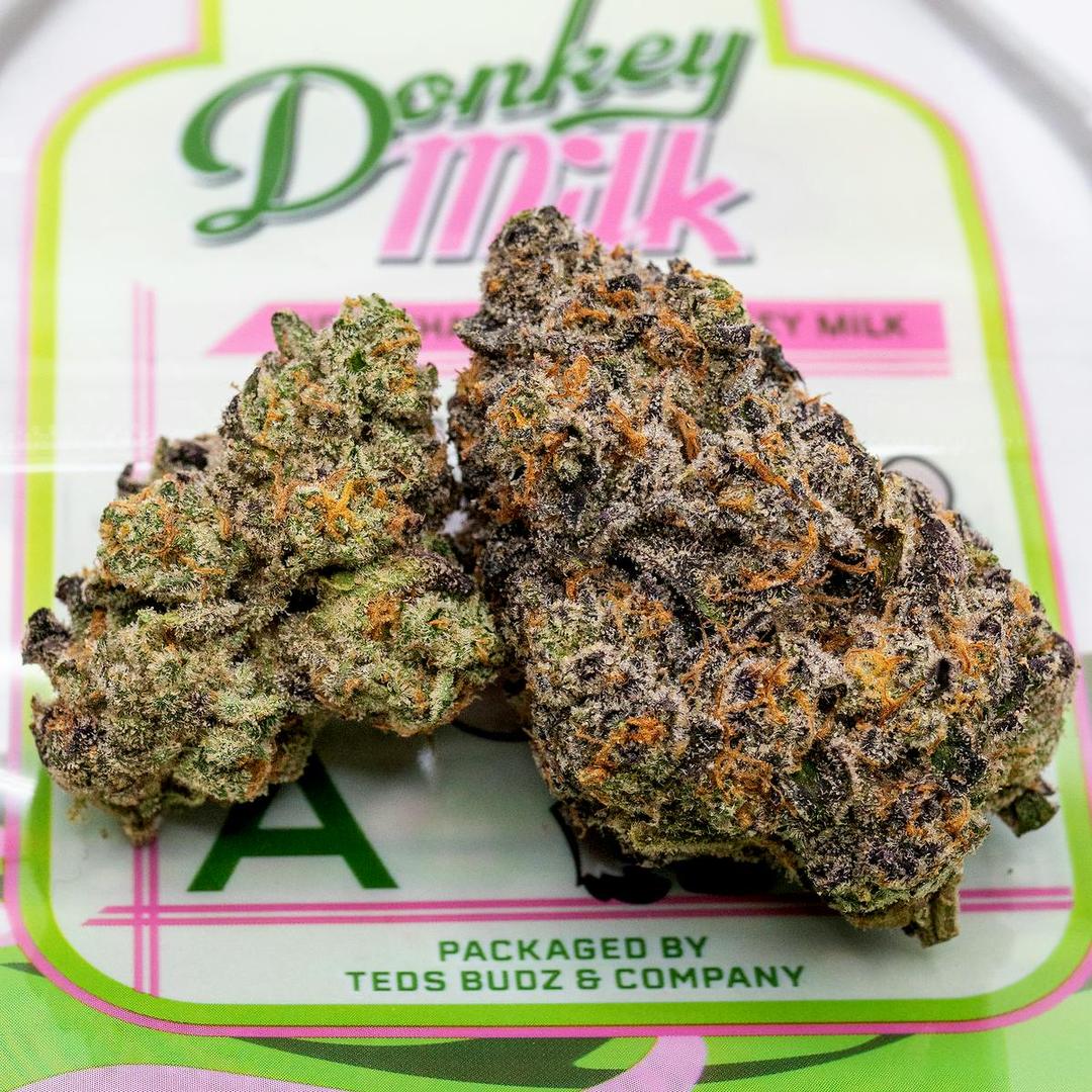 Donkey Milk
