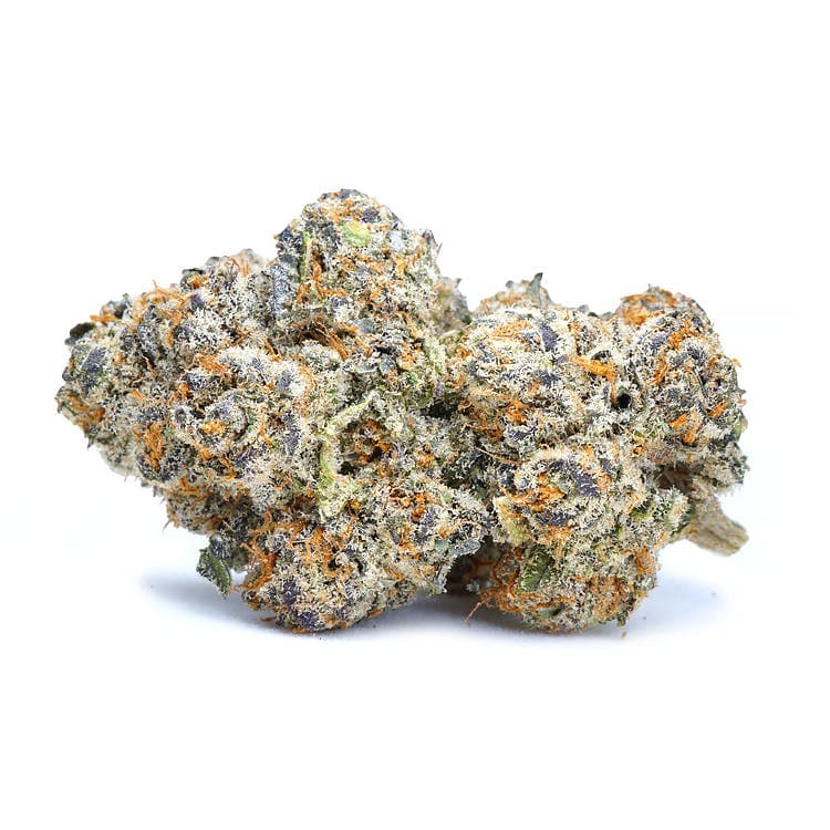Lemon Cherry Gelato Small Buds | Indoor 14g
