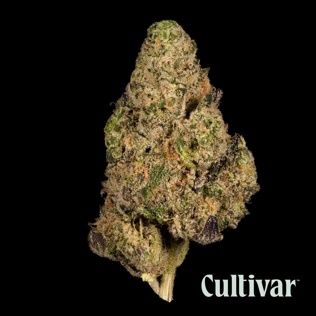 Gush Mints - 3.5g Premium Flower