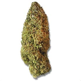 Exotix - Pluto Runtz (I) - 14g