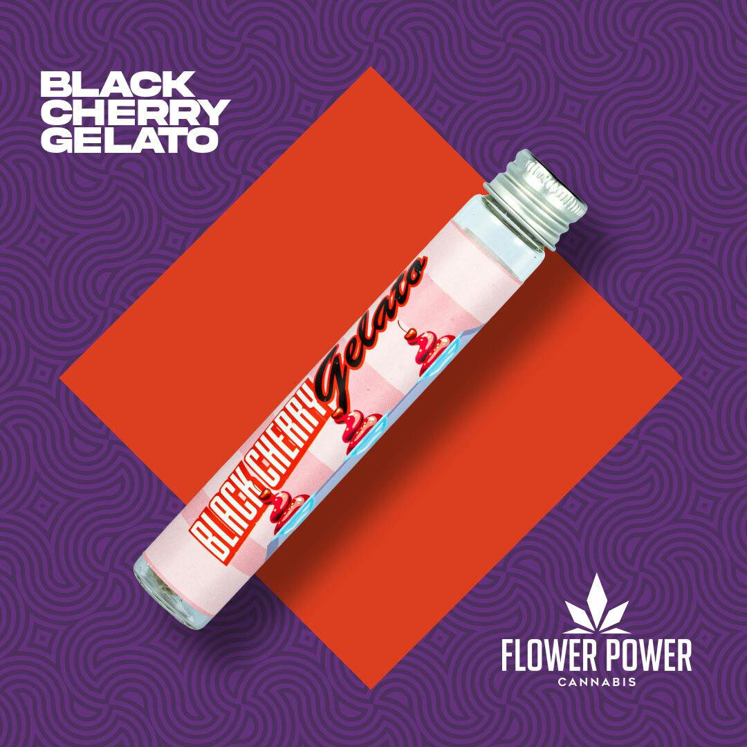 Black Cherry Gelato 1G Preroll